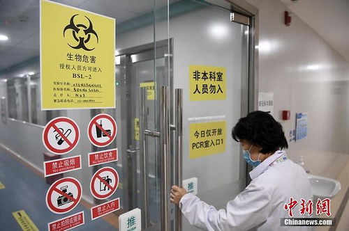 探訪北京新冠肺炎病毒核酸檢測服務 自費260元背后的高效與便捷