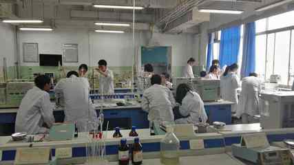 檢驗(yàn)檢測(cè)服務(wù) 企業(yè)品質(zhì)與市場(chǎng)信心的守護(hù)者